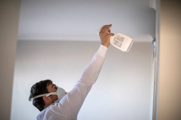 Best Water Damage Restoration  in San Carlos, TX