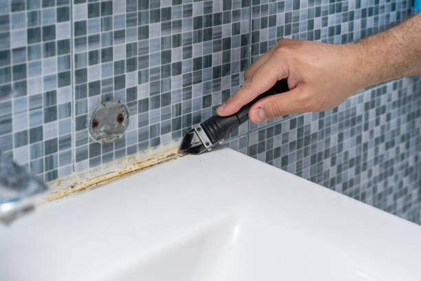 Best Mold Cleaning Services  in San Carlos, TX